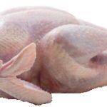 Turkey Whole B04-A