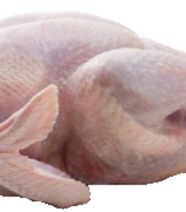Turkey Whole B04-A