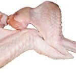 Turkey Wings B04-G