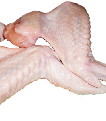 Turkey Wings B04-G