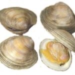 A128-A