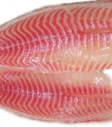 A01-F Tilapia fillet (large)