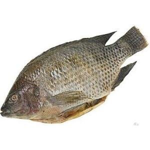 A01-C Cleaned tilapia (smll 500 up)