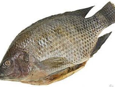A01-C Cleaned tilapia (smll 500 up)
