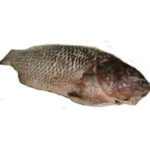 A01-E Marinate tilapia whole