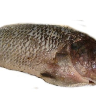 A01-E Marinate tilapia whole