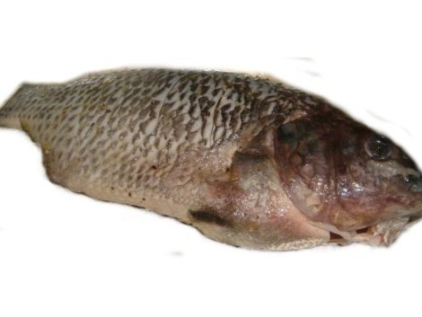 A01-E Marinate tilapia whole