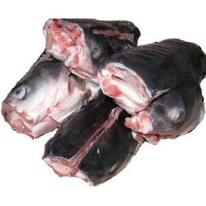 A02-G Catfish heads