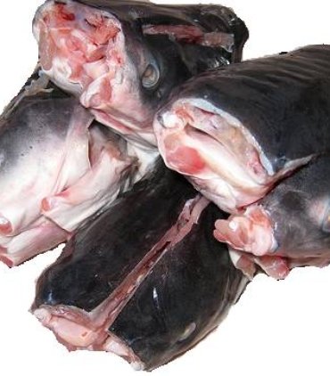 A02-G Catfish heads