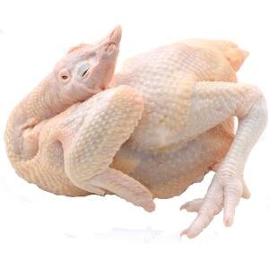 Chicken brown whole (B01-C)