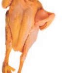 Chicken rooter whole (B01-D)