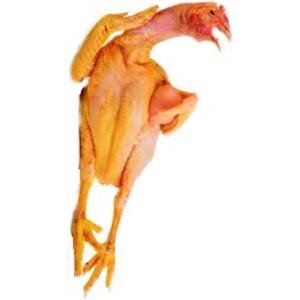 Chicken rooter whole (B01-D)