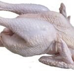 Chicken stew (B01-B)
