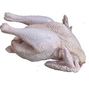 Chicken stew (B01-B)