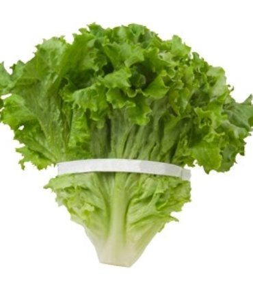 D107-A Lettuce green