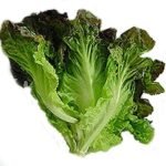 D107-B Lettuce red