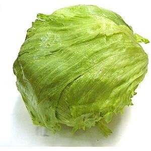 D108-A Icebag lettuce