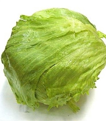 D108-A Icebag lettuce