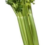 D113-A Celery