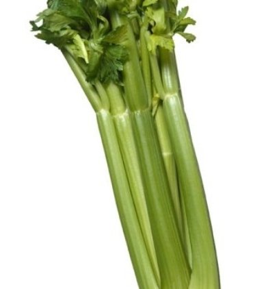 D113-A Celery