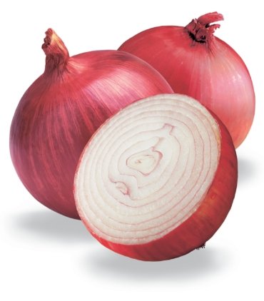 D173-C Red onion