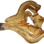 Dried mudfish (A08-F)