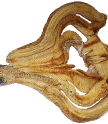 Dried mudfish (A08-F)