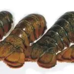 Maine lobster tail A121-C