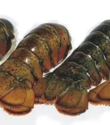 Maine lobster tail A121-C
