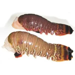 Spiny lobster tail