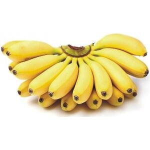 Bananas baby (F01-B)